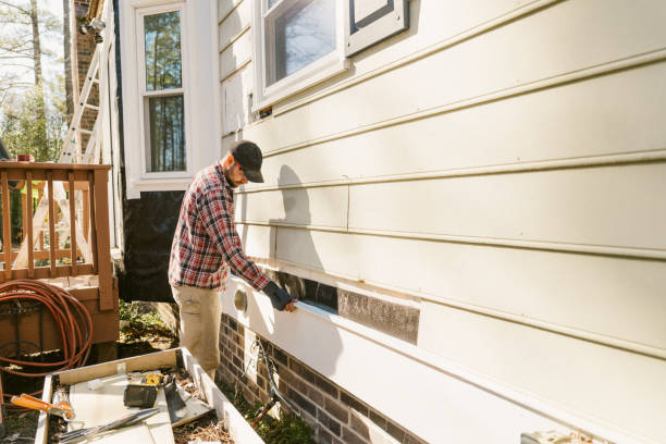 Top rated local Siding Installation specialists in Andover, MN